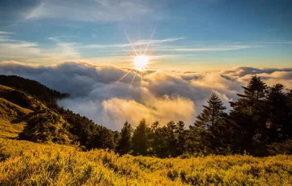 Forest, summer, the sun, clouds, rays, light, mountains, fog