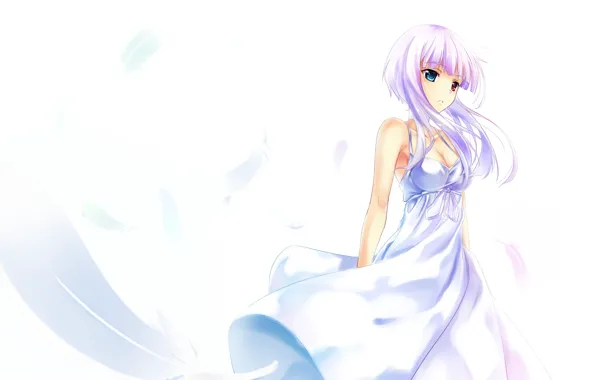 Girl, white, feathers, dress, art, white background, ame no uta