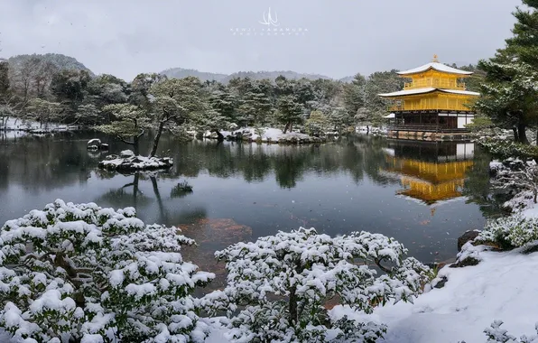 Snow, lake, Kyoto, photographer, Kenji Yamamura, Kinkaku Temple, Golden temple