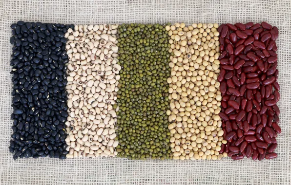 Picture colors, beans, variety