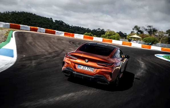 Coupe, turn, BMW, track, Coupe, 2018, 8-Series, dark orange
