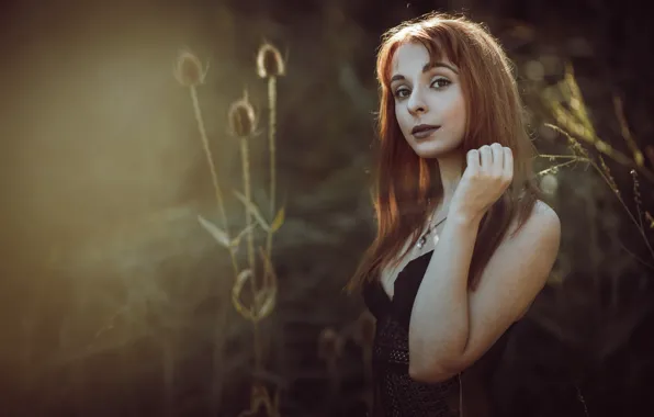 Look, girl, nature, background, portrait, brown hair, interesting appearance