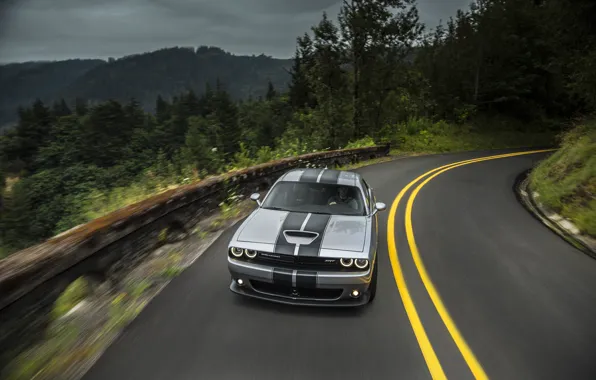 Road, Mountains, Forest, Turn, Optics, Dodge, Challenger, 392