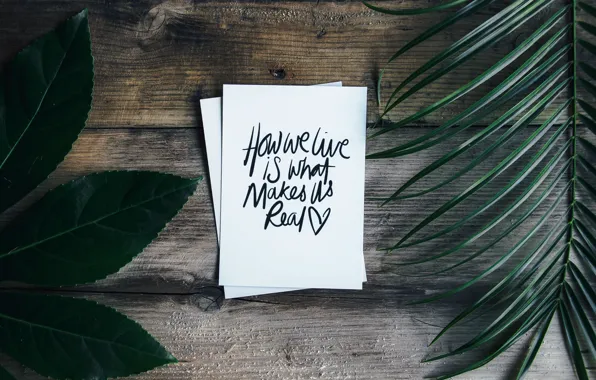 Leaves, the inscription, Board, message