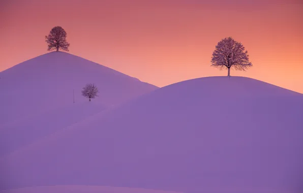 Picture winter, the sky, snow, trees, sunset, hills, Switzerland, Switzerland