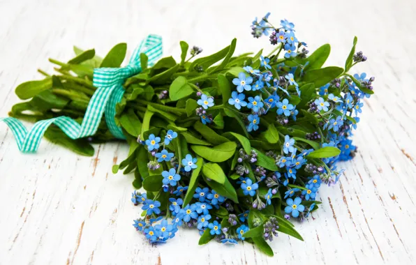 Picture flowers, bouquet, forget-me-nots, Olena Rudo