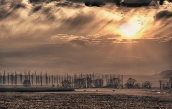 The sun, clouds, rays, trees