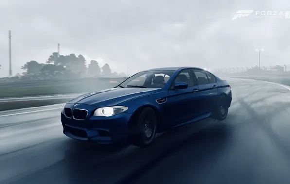 HDR, BMW, Rain, Game, F10, 5, FM7, UHD