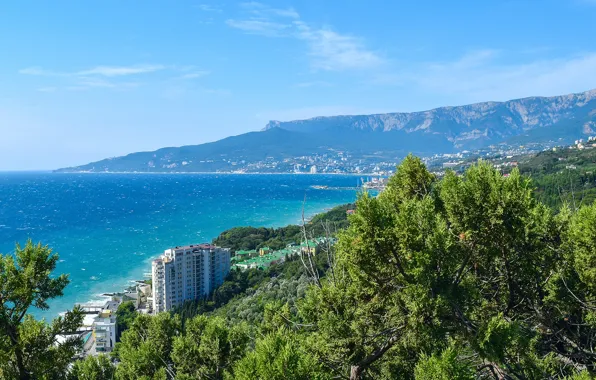 Picture sea, greens, the sky, the sun, trees, mountains, coast, home