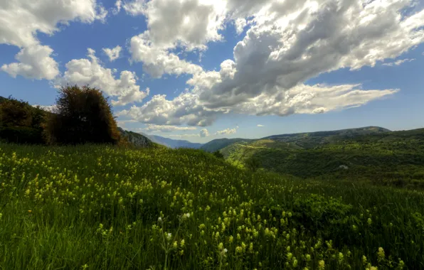 Picture greens, field, summer, the sky, grass, clouds, mountains, meadow
