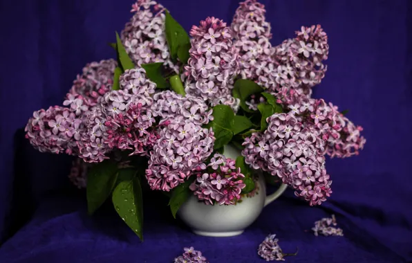 Picture bouquet, vase, lilac, bunches, lilac