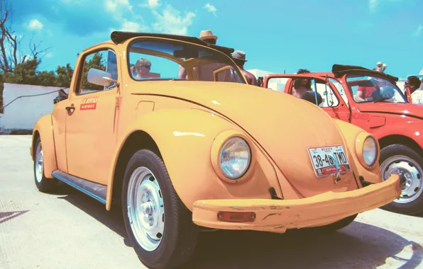 Beetle, volkswagen, vintage, yellow, beetle, car. vw