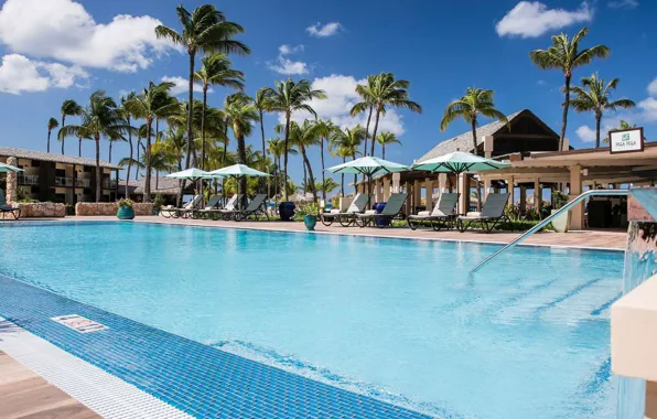 Palm trees, pool, umbrellas, resort, Aruba, Aruba, luxus, Venezuela