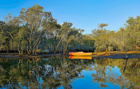 Forest, the sky, water, the sun, trees, Park, reflection, river