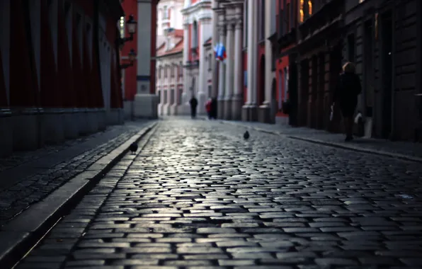 Night, street, Poland, Poznan
