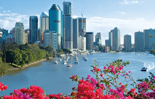 Picture the city, Park, yachts, skyscrapers, Australia, Brisbane
