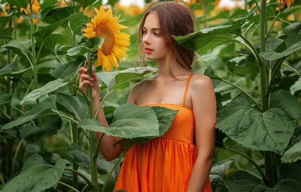 Picture girl, nature, model, brunette, plants, sunflowers, red lipstick, outdoors