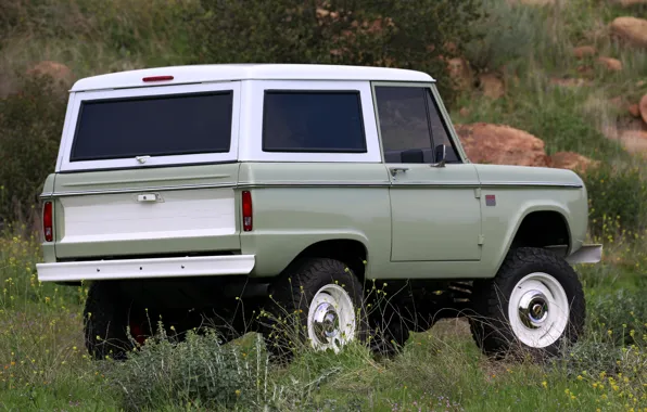 Picture Ford, 2018, in the field, Bronco, ICON Old School BR