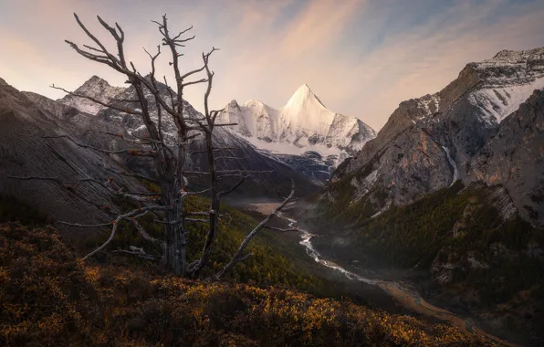 Autumn, grass, snow, trees, mountains, river, the slopes, tops