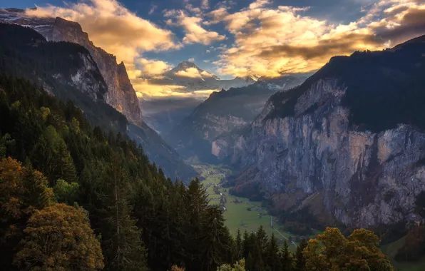 Forest, the sky, clouds, mountains, valley, Alps