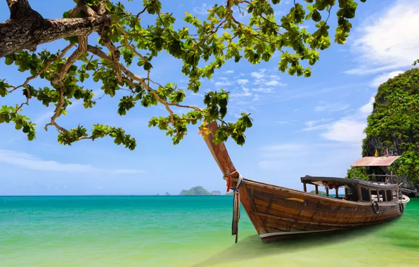 Picture tree, boat, Thailand, Thailand, Krabi, Phang Bay, Phang nga Bay, Krabi