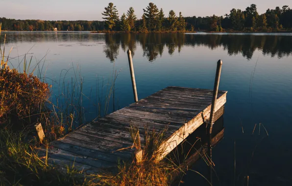 Nature, lake, pond