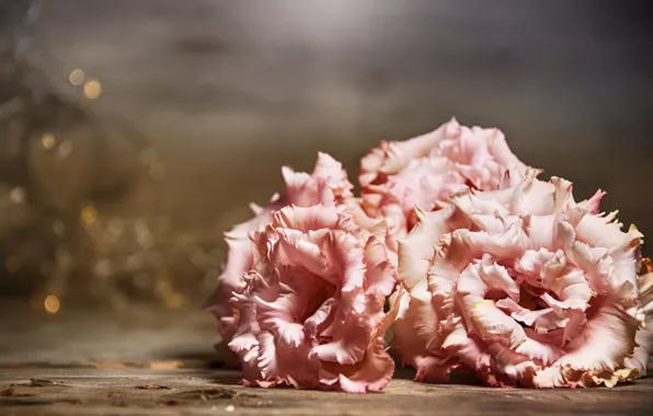 Flowers, table, pink, eustoma, Morganval