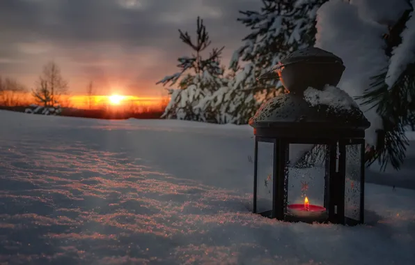Winter, the sun, rays, snow, trees, landscape, nature, dawn