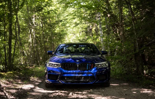 BMW, Blue, Front, Forest, Sight, F90