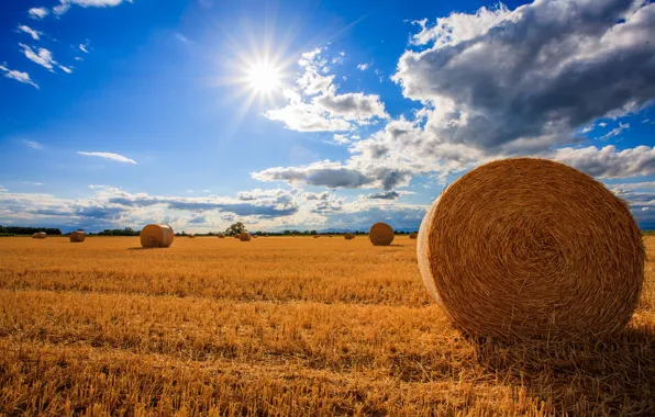 Field, the sky, the sun, straw, stubble, bales