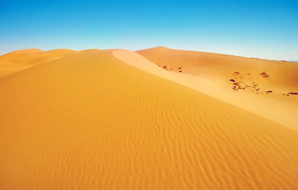 Sand, the sky, desert, dunes