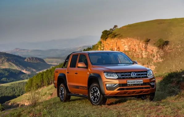 Picture vegetation, slope, Volkswagen, pickup, Amarok, Canyon, 2019