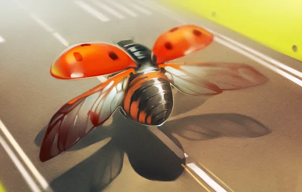 Picture road, ladybug, wings, art