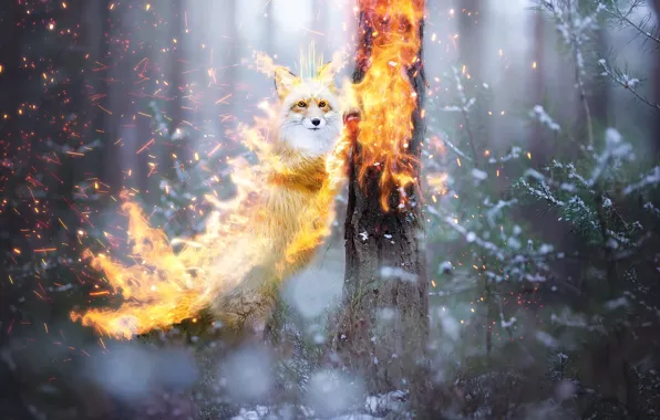 Picture forest, snow, fire, fantasy, Fox, by 0l-Fox-l0