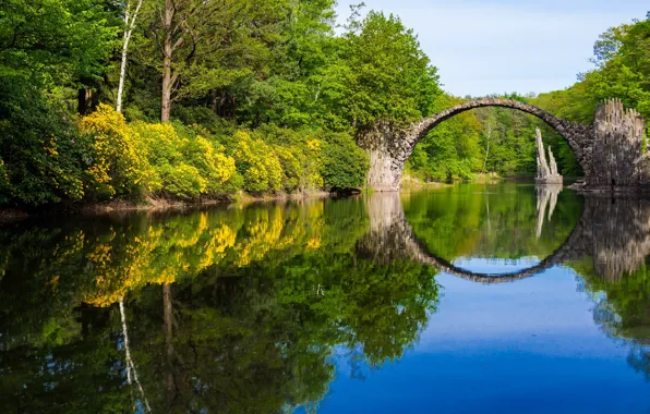 Forest, trees, flowers, bridge, lake, reflection, shore, yellow