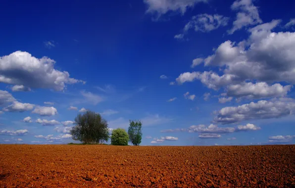 Clouds, trees, Field
