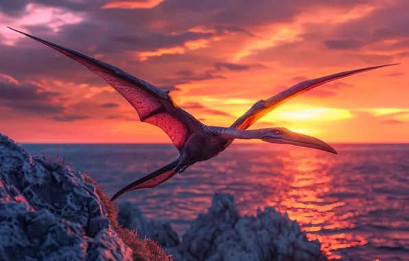 Clouds, Sea, Flight, Dawn, Wings, Dinosaur, Coast, Animal