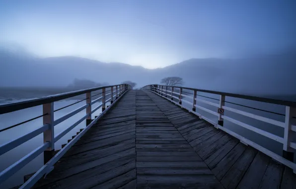 Picture bridge, fog, lake, morning