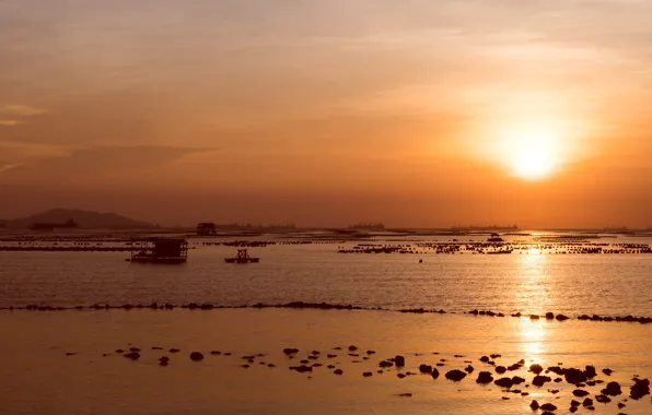 Sand, sea, wave, beach, summer, the sky, the sun, sunset