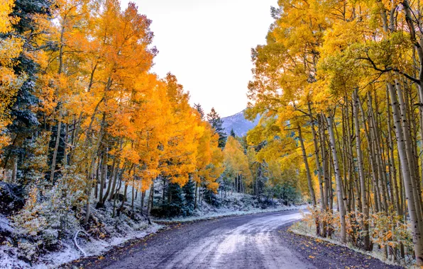 Road, autumn, forest, the sky, leaves, trees, mountains, Colorado