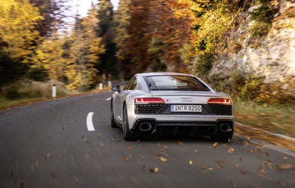 Autumn, Audi, speed, supercar, Audi R8, rear view, Coupe, V10