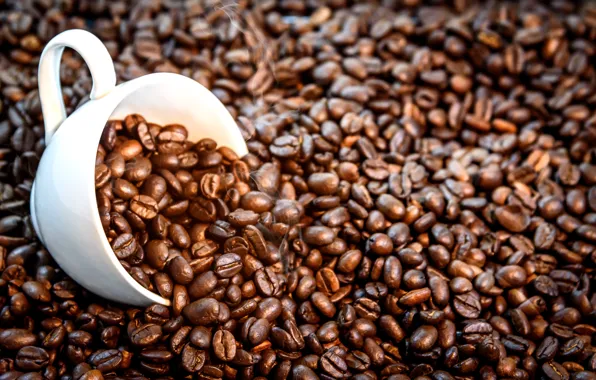 Background, coffee, grain, Cup, texture, background, cup, beans