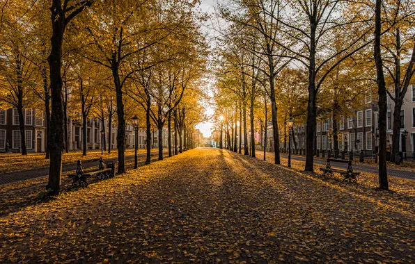 Nederland, Golden Hour, Hague