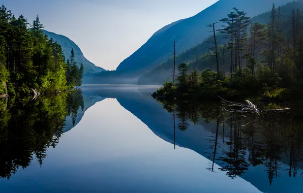 Forest, the sky, trees, mountains, lake