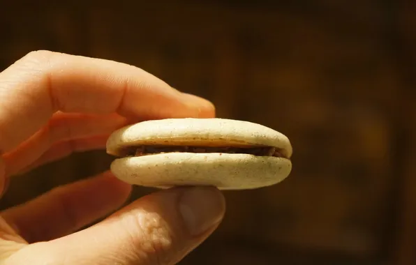 Hand, cookies, fingers, macaroon, macaron