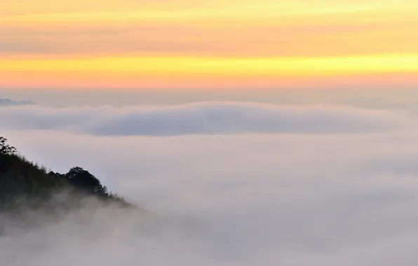 The sky, landscape, sunset, obloka