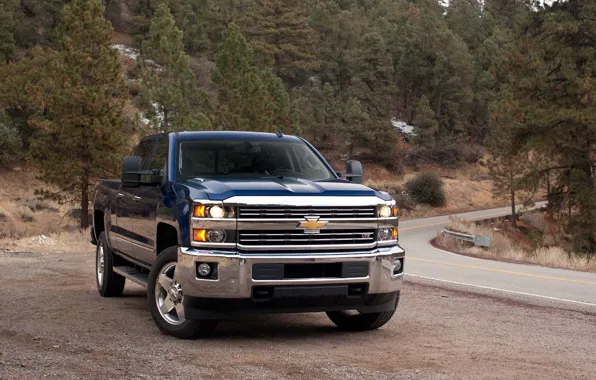 Picture Road, Chevrolet, Forest, Machine, Car, Road, Pickup, Chevrolet
