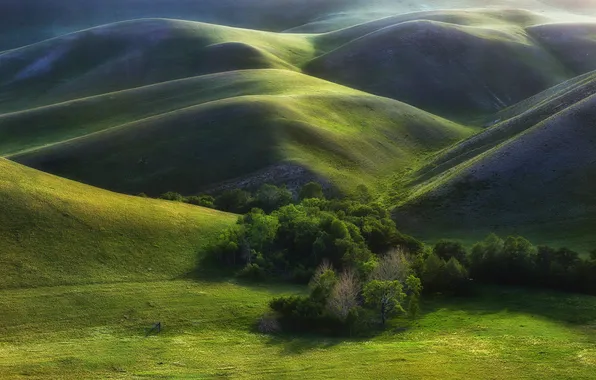 Grass, trees, landscape, hills