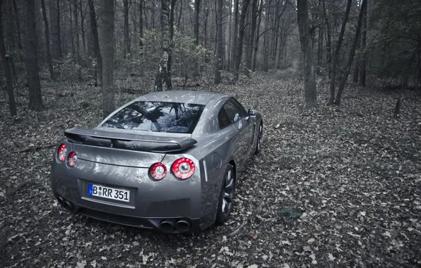 Picture autumn, trees, grey, foliage, Nissan GT-R