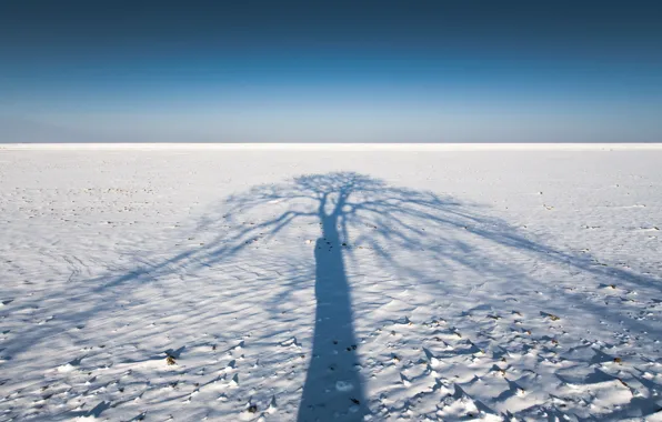 Field, snow, landscape, shadow